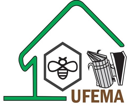 logo ufema