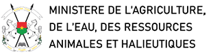 logo maerah retina